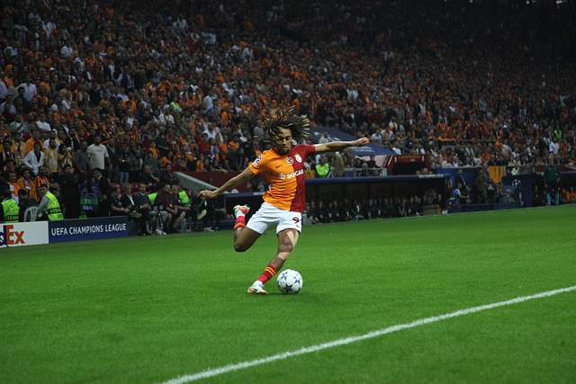 理往往是区 理往往是区