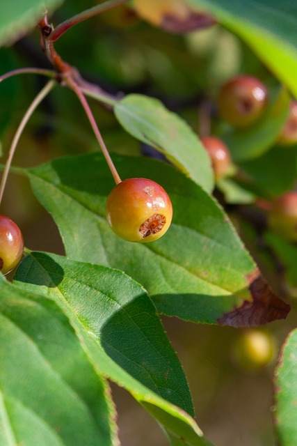 比如罗德里 比如罗德里