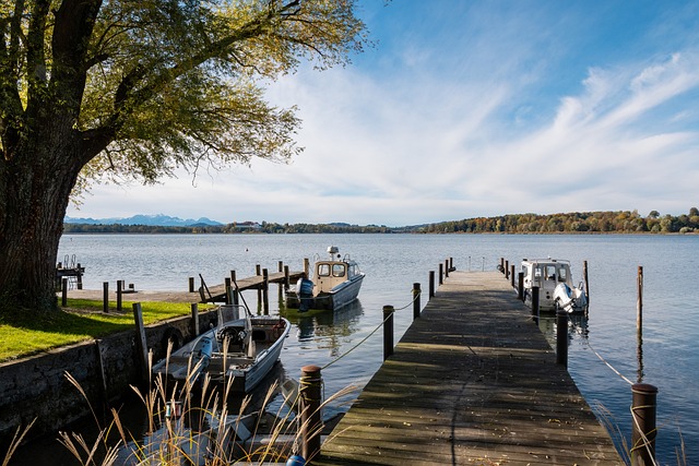 仅仅是一场 仅仅是一场