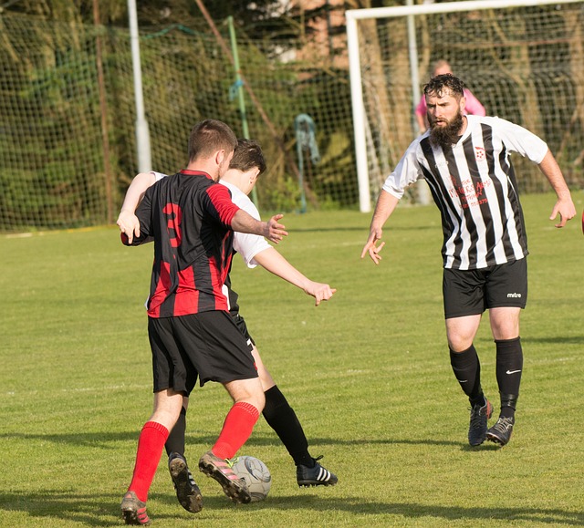 段全新的历 段全新的历