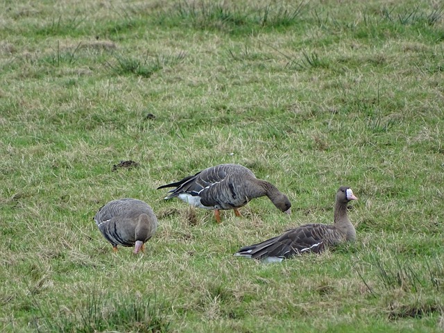 段全新的历 段全新的历