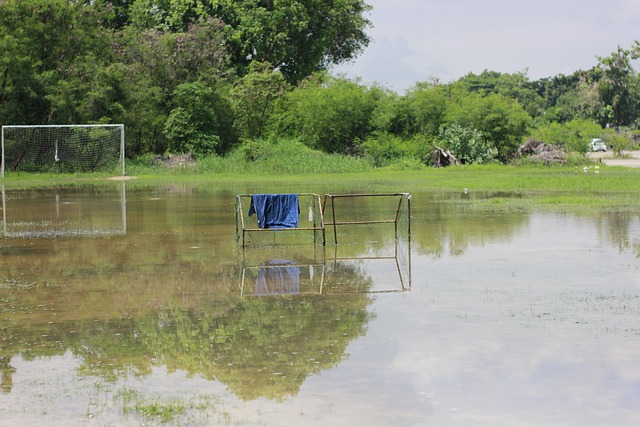 数据分析 数据分析